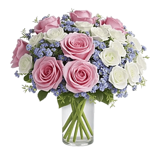 Petal Softness Display