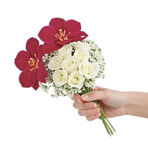 Modern White Orchids