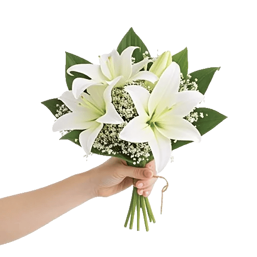 Graceful Lily Display