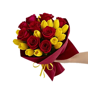 Crimson Rose Elegance