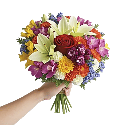 Crimson Rose Elegance