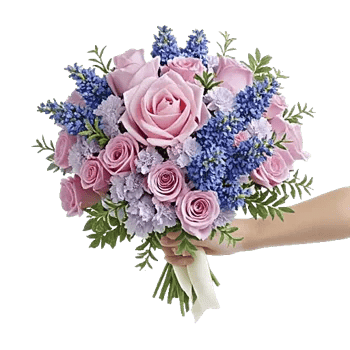 Blushing Rose Symphony