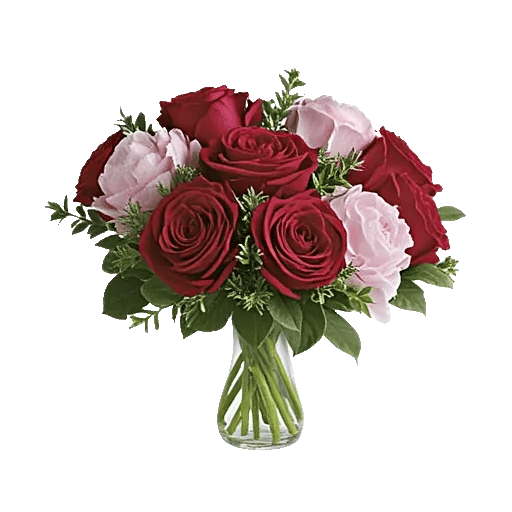 Petal Radiance Bliss