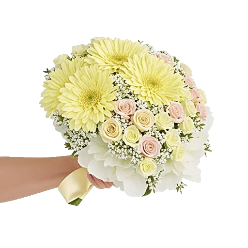 Blossom Harmony Display