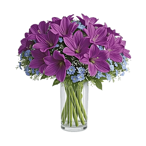 Whispering Petal Garden