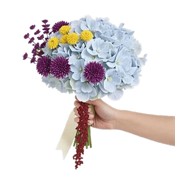 Serene Petal Harmony