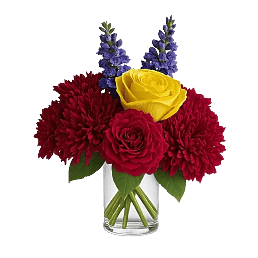 Petal Radiance Bliss