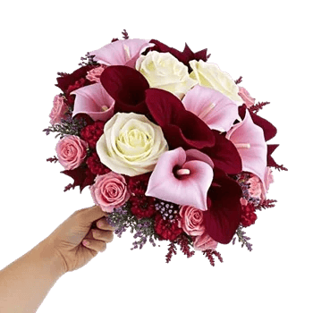 Elegant Calla Lilies