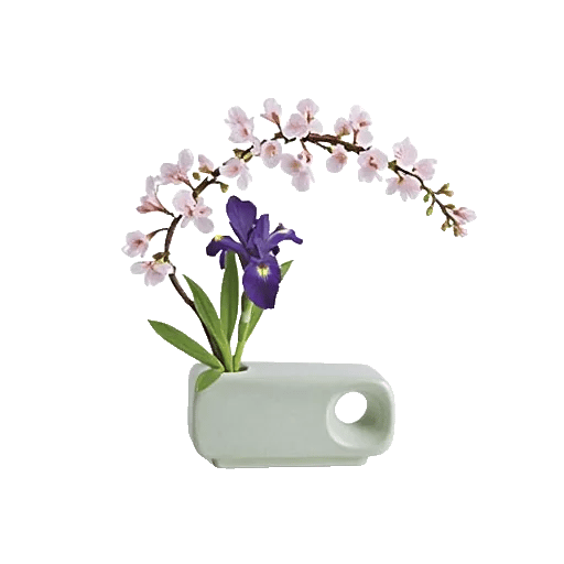 Minimalist White Orchids