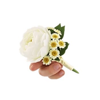 Delicate Petal Cascade