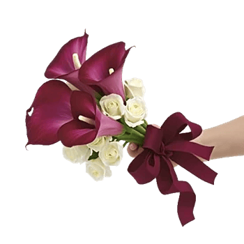 Elegant Calla Lilies