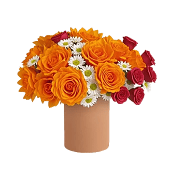Petal Radiance Bliss