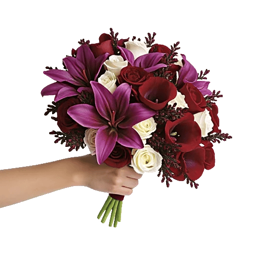 Elegant Calla Lilies