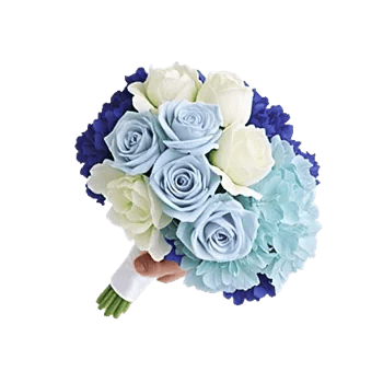 Serene Petal Harmony