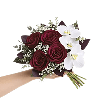 Petal Grace Harmony