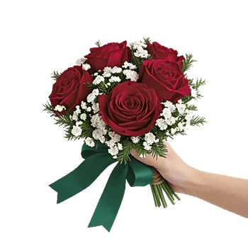 Crimson Rose Elegance