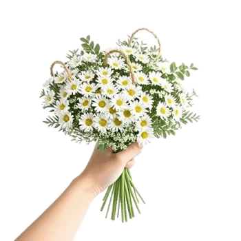 Rosemary Bloom Elegance