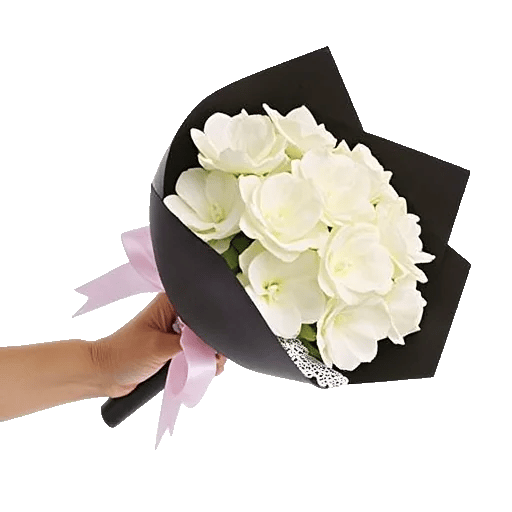 Ivory Garden Grace