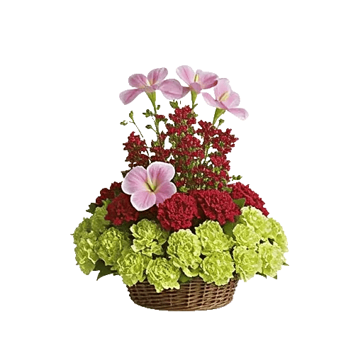 Delicate Petal Cascade