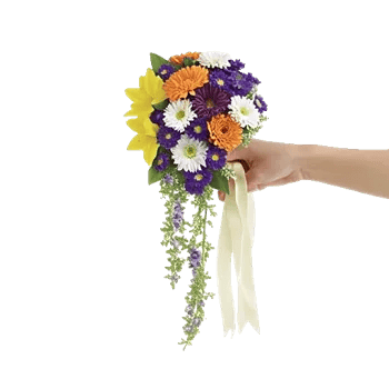 Delicate Petal Cascade