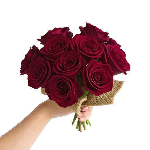 Crimson Rose Elegance