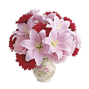 Ivory Blossom Radiance