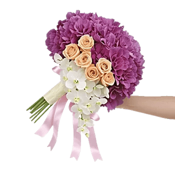 Orchid Bloom Cascade