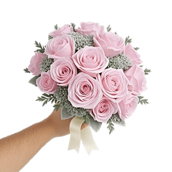Pastel Pink Roses