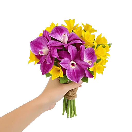 Serenity Orchid Bloom