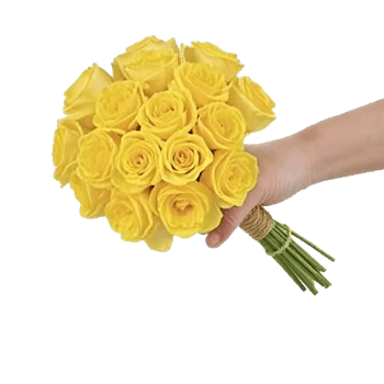 Delicate Petal Cascade