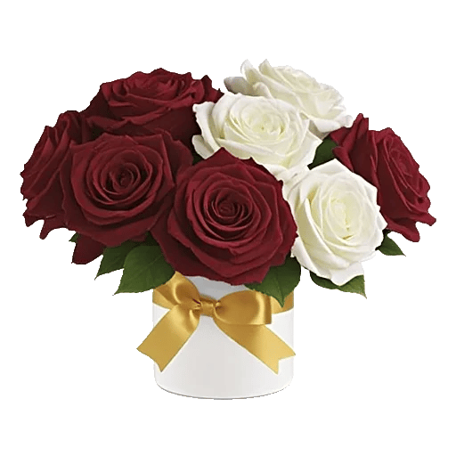 Crimson Rose Elegance