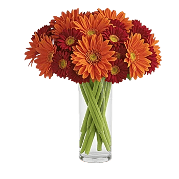 Radiant Bloom Cascade