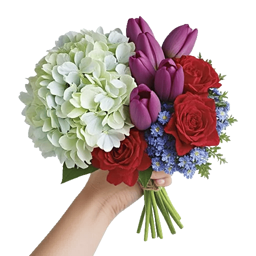 Serene Petal Harmony