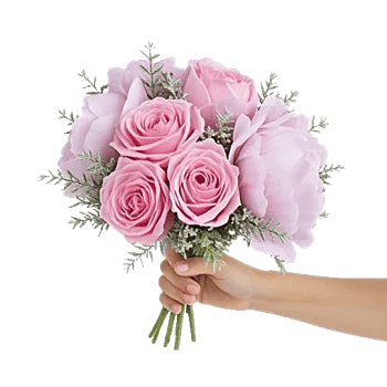 Pastel Pink Roses