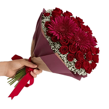 Crimson Rose Elegance
