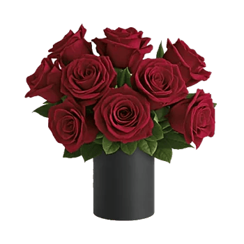 Crimson Rose Elegance