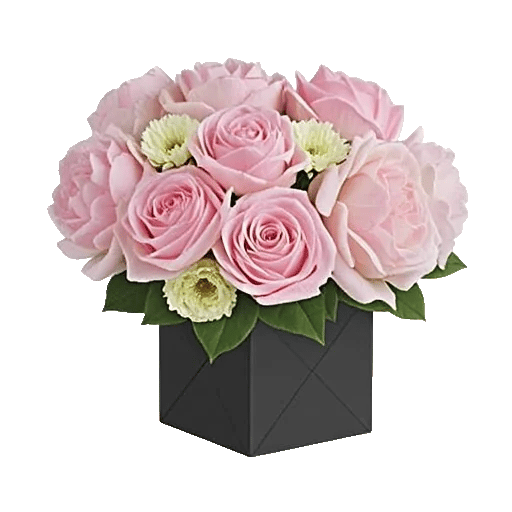 Pink Pastel Roses