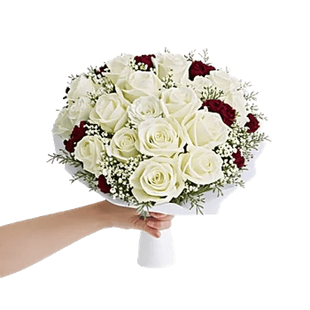 Serene Petal Harmony