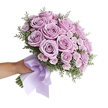 Pastel Pink Roses