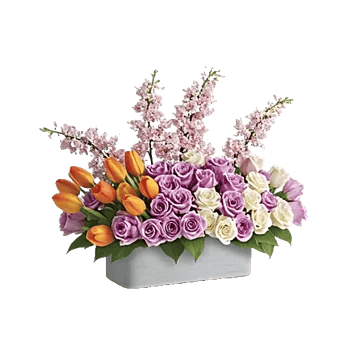 Blossom Glow Symphony