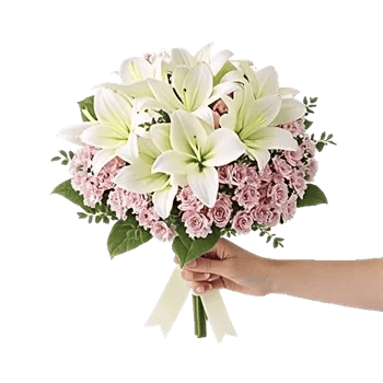 Ivory Garden Grace