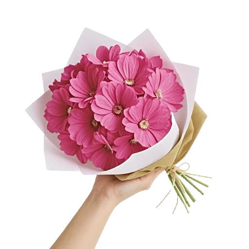 Pink Pastel Roses