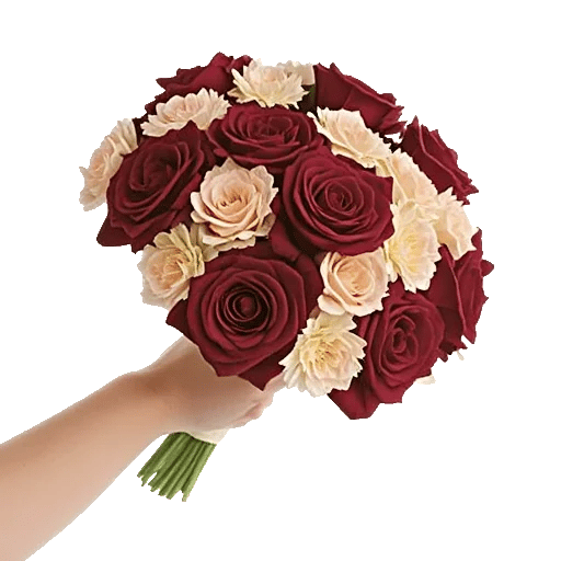 Blushing Rose Symphony