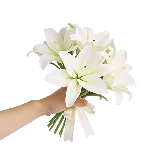 Minimalist White Orchids