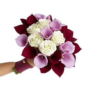 Elegant Calla Lilies