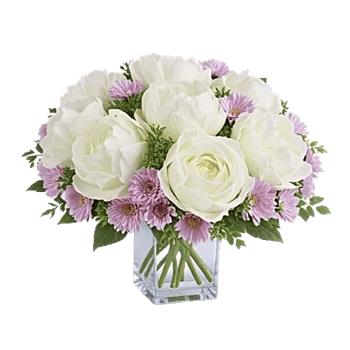 Petal Radiance Bliss