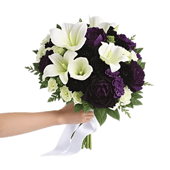 Delicate Petal Cascade