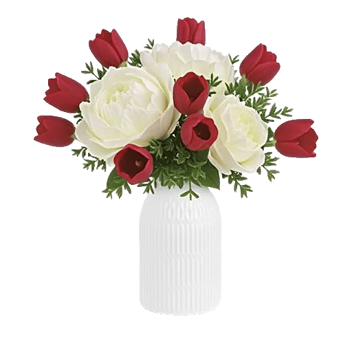 Velvet Tulip Display