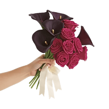 Elegant Calla Lilies