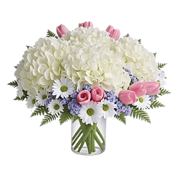Serene Petal Harmony